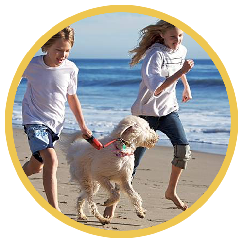 We're pet friendly!